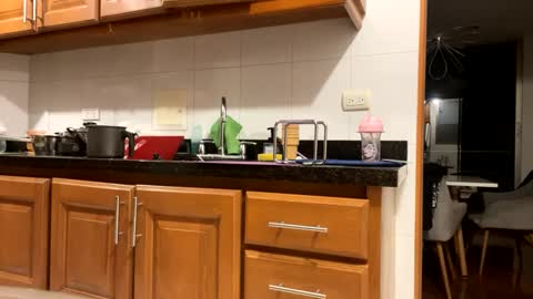 dilfofthenextdoor42 online show from 7, 3, 2025