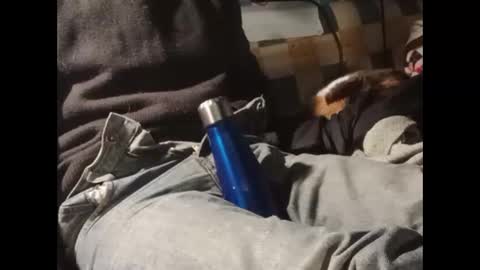 dimoni_ online show from 7, 1, 2026