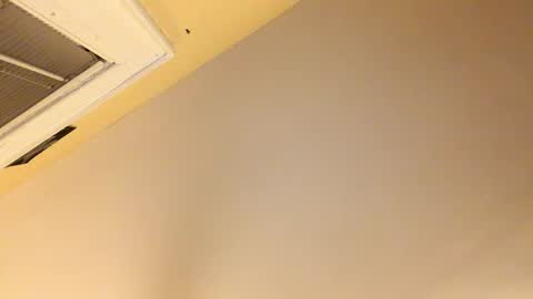 Snapshot of dinglerdingler chatting on 8, 12, 2024 Dingler online show from 8, 12, 2024