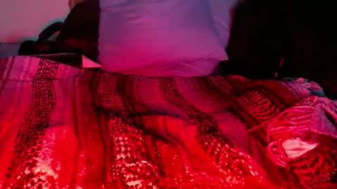 dino9999999 online show from 27, 2, 2026