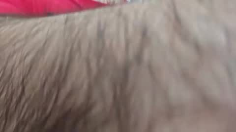 dios891 online show from 25, 4, 2026