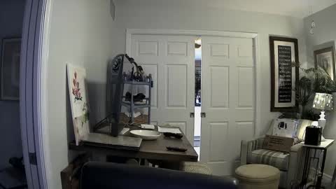 Snapshot of dirkpitt223 chatting on 2, 1, 2025 DirtkPitt Fun guy working online show from 2, 1, 2025