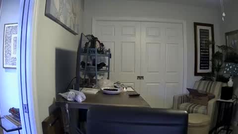 Snapshot of dirkpitt223 chatting on 4, 1, 2025 DirtkPitt Fun guy working online show from 4, 1, 2025