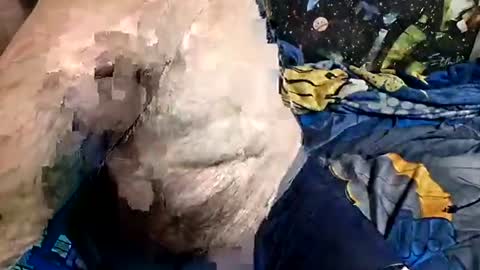 dirtmcgirt82 online show from 18, 4, 2026