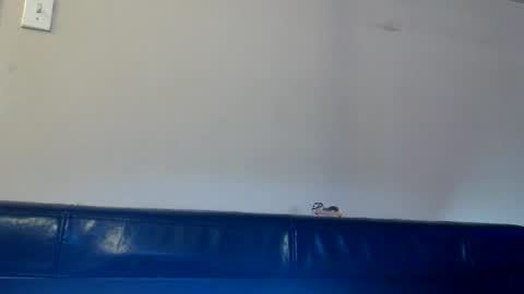 Snapshot of dirtydaisy1998 chatting on 14, 11, 2025 Daisy Wylde online show from 14, 11, 2025