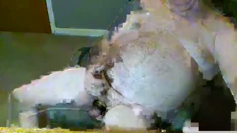 dirtydave52 online show from 28, 3, 2026