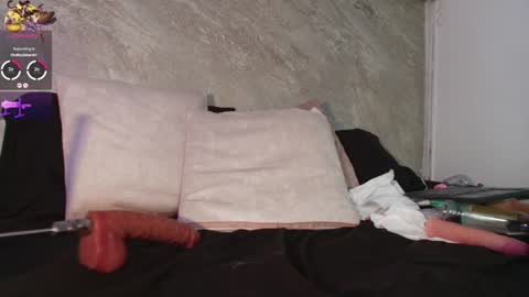 Snapshot of dixie_grey1 chatting on 4, 7, 2026 Sofia online show from 4, 7, 2026
