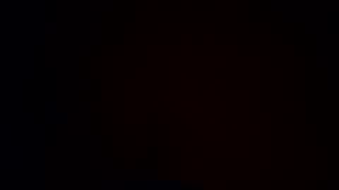 dixiecups4u online show from 3, 4, 2026