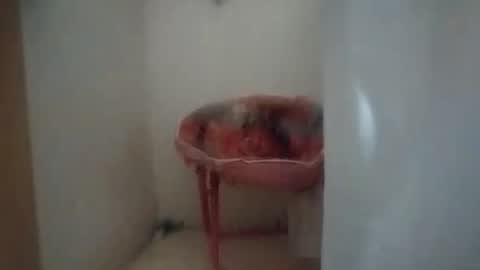 Snapshot of dixonbird41 chatting on 6, 10, 2025 dixonbird41 online show from 6, 10, 2025