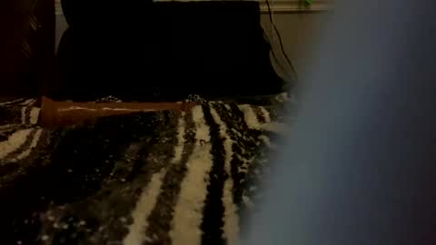 dlpbttm87 online show from 20, 4, 2026