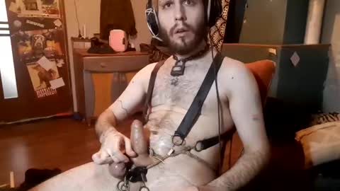 dogwithamohawk online show from 7, 2, 2025