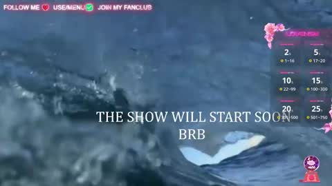 I WILL BE BACK ON WEDNESDAY DECEMBER 4 0100AM COLOMBIA TIME    online show from 6, 3, 2025