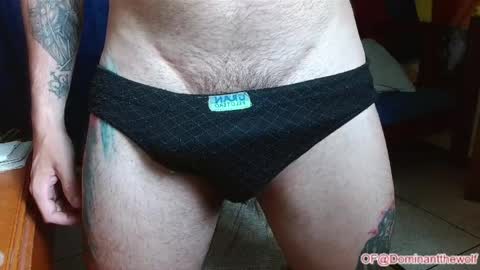 Logan - INDEPENDET MODEL online show from 27, 5, 2026