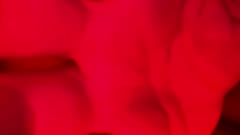 Snapshot of domingodelluvia chatting on 17, 11, 2025 Alzest online show from 17, 11, 2025