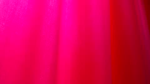 DommeTomorrow online show from 25, 2, 2025