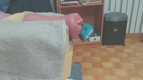 Don online show from 29, 3, 2026