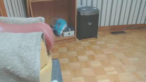 Snapshot of don_r55 chatting on 14, 6, 2026 Don online show from 14, 6, 2026
