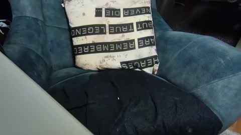 dondiego9999 online show from 6, 1, 2025