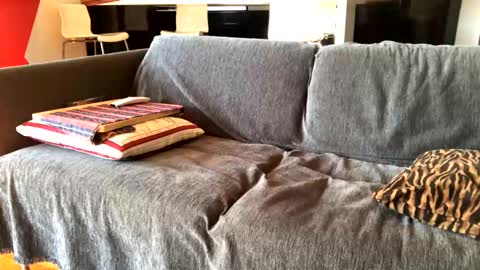 Alfredo online show from 4, 2, 2025