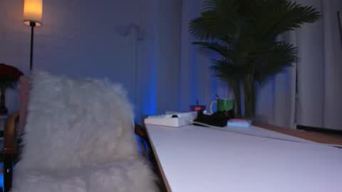    Next stream November 24    online show from 17, 3, 2026