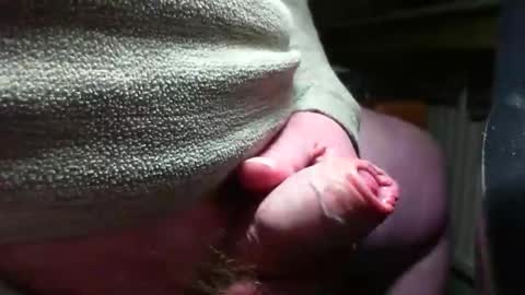 doscard online show from 14, 12, 2024