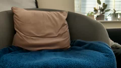 Drayfus online show from 25, 4, 2026