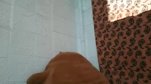 drain_me29 online show from 13, 1, 2026