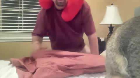 Dr of Boobs and Bras online show from 27, 11, 2025