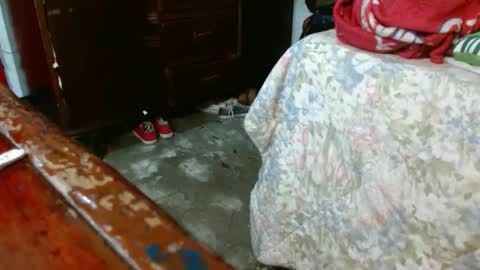 dreamreal online show from 28, 10, 2025