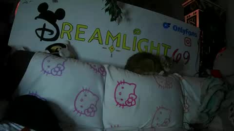 Dreamlight online show from 26, 1, 2025