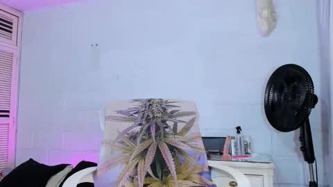 drippyorlove online show from 2, 4, 2026