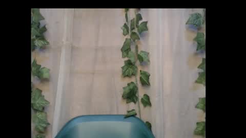 linda online show from 30, 10, 2025