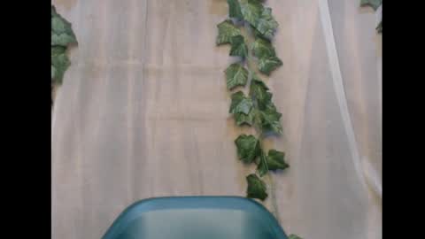 linda online show from 12, 11, 2025