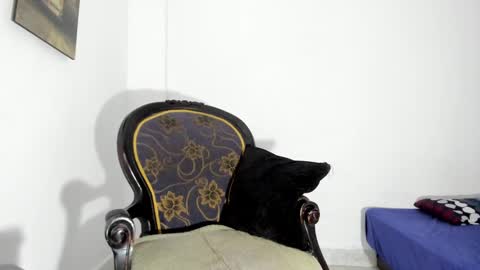 drizsx online show from 15, 1, 2025