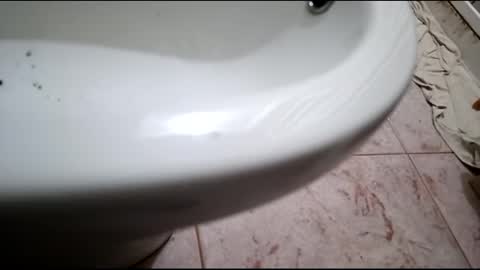 Snapshot of dthedog12 chatting on 24, 2, 2025 dthedog12 online show from 24, 2, 2025