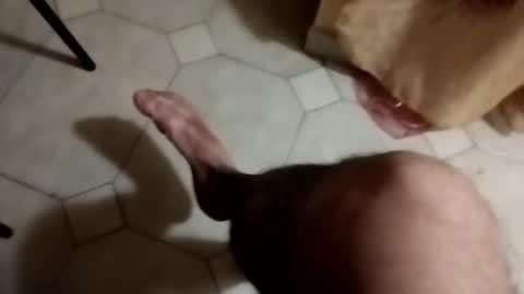 Snapshot of dthedog12 chatting on 22, 9, 2025 dthedog12 online show from 22, 9, 2025