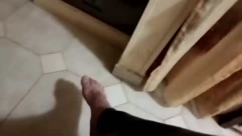 dthedog12 online show from 8, 11, 2025