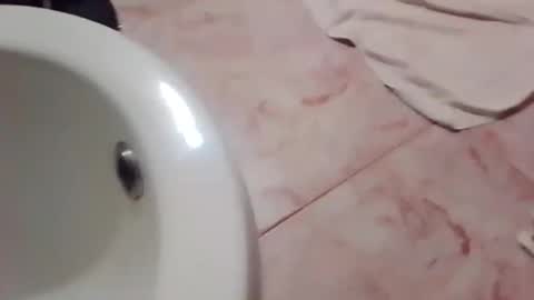 dthedog12 online show from 21, 11, 2025