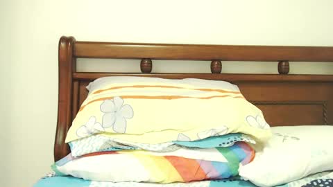 S.K..maorisa98 VIDEOS SEXHARD PPBOY 55TASTEPROTEIN online show from 12, 3, 2025