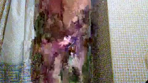 dublindub12 online show from 2, 3, 2025
