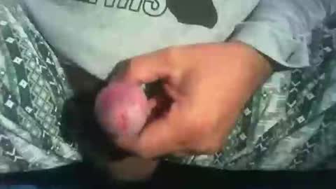 Snapshot of dude_13 chatting on 16, 10, 2025 dude_13 online show from 16, 10, 2025