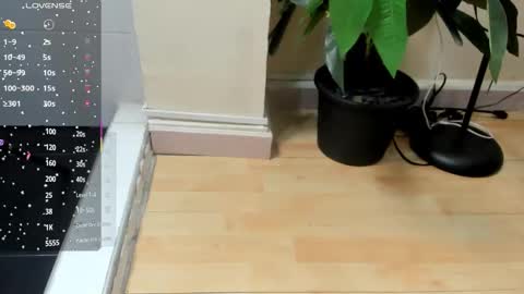 dulce__fiore07 online show from 28, 11, 2025