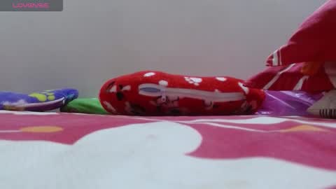 dulce online show from 24, 11, 2025