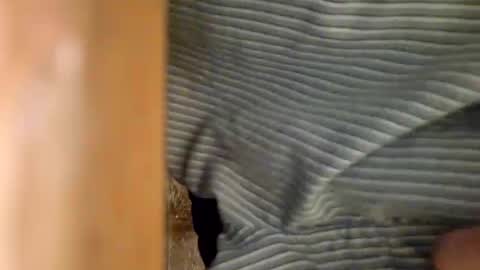 dVe1oPe online show from 6, 1, 2025