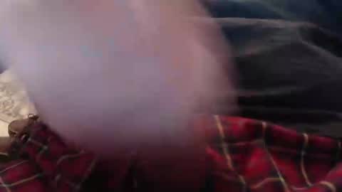 eat_a_peach2 online show from 4, 3, 2026