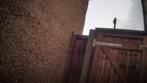 Nadia Ferreira  online show from 6, 2, 2026