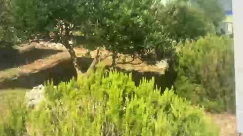 ebnk15 online show from 30, 9, 2025