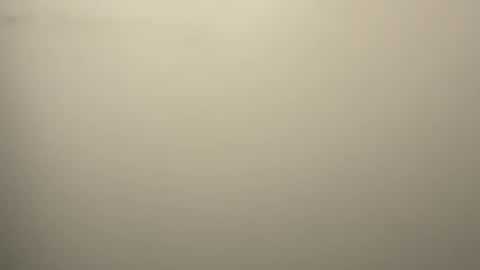 Eddy online show from 12, 2, 2026