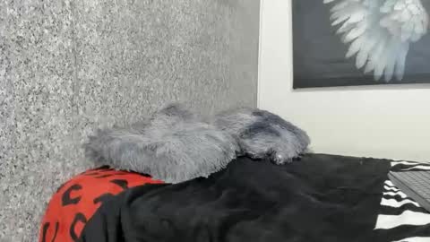 edi_stwix18 online show from 13, 1, 2026