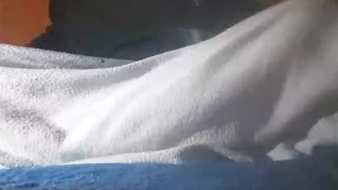 Davide online show from 12, 11, 2025